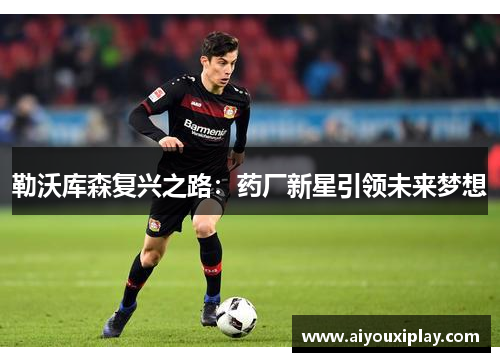 勒沃库森复兴之路：药厂新星引领未来梦想